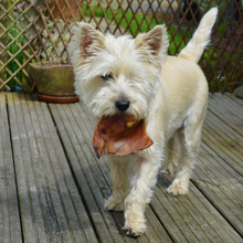Load image into Gallery viewer, Rockwell Pets Pro Chicken Jerky Dog Treats - Single Ingredient
