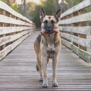 Beef Trachea Dog Training Treats - Single Ingredient