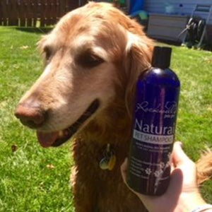 Rockwell Pets Pro Natural Dog Shampoo