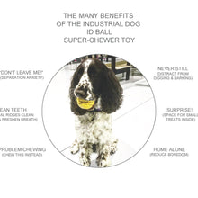 Load image into Gallery viewer, Rockwell Pets Pro Dog Ball Chew Toy
