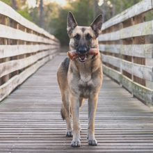 Load image into Gallery viewer, Beef Trachea Dog Training Treats - Single Ingredient
