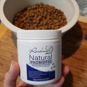 Rockwell Pets Pro Natural Dog Probiotics