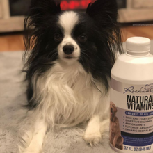 Load image into Gallery viewer, Rockwell Pets Pro Natural Dog Vitamins
