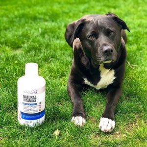 Rockwell Pets Pro Natural Dog Vitamins