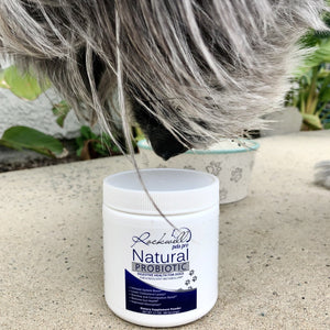 Natural Dog Probiotics