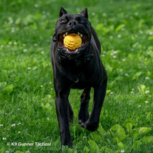 Load image into Gallery viewer, Rockwell Pets Pro Dog Ball Chew Toy
