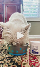 Load and play video in Gallery viewer, Rockwell Pets Pro Natural Dog Probiotics
