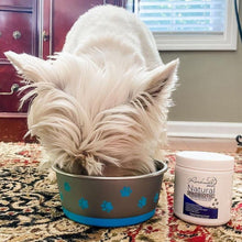 Load image into Gallery viewer, Rockwell Pets Pro Natural Dog Probiotics
