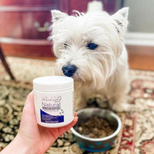 Load image into Gallery viewer, Rockwell Pets Pro Natural Dog Probiotics
