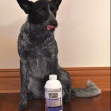 Load image into Gallery viewer, Rockwell Pets Pro Natural Dog Vitamins
