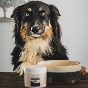 Dog Bone Broth